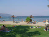 Main Beach (v)